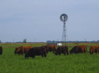 Producción ganadera pastoril: buscan posicionar su valor nutricional y competitividad en un mercado desafiante