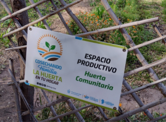 La Huerta en Tu Hogar: Córdoba inicia la distribución de semillas para la temporada otoño-invierno