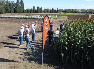 Jornada Peman Plus 2026: la compañía líder en Pasturas y Forrajeras reunió a Red de Distribuidores para impulsar la ganadería