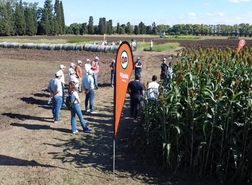 Jornada Peman Plus 2026: la compañía líder en Pasturas y Forrajeras reunió a Red de Distribuidores para impulsar la ganadería