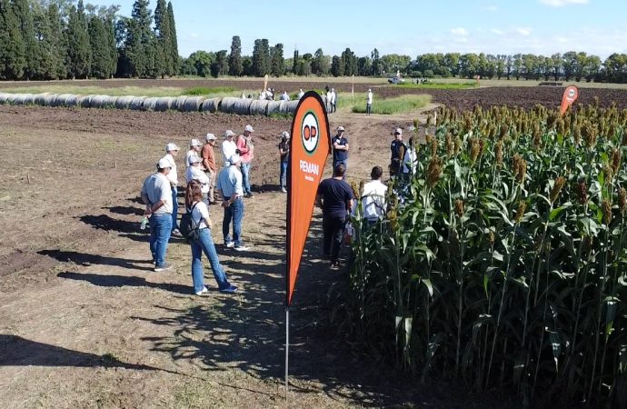 Jornada Peman Plus 2026: la compañía líder en Pasturas y Forrajeras reunió a Red de Distribuidores para impulsar la ganadería