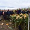 INTA Río Primero evaluó el desempeño de híbridos de maíz en una campaña marcada por la sanidad y el buen clima