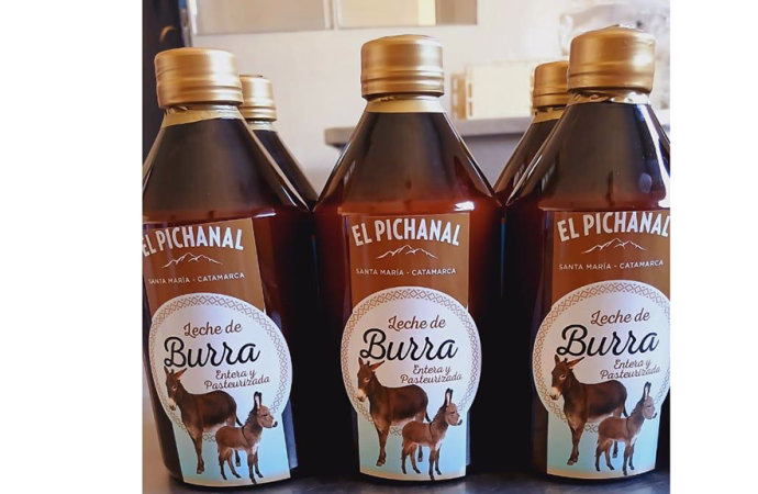 El «oro blanco» de Catamarca: La leche de burra desembarca en TodoLáctea 2026 como la gran apuesta terapéutica