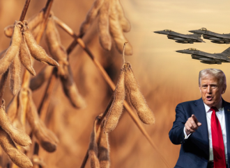 Mercados en vilo: el factor Trump y el clima sacuden los precios