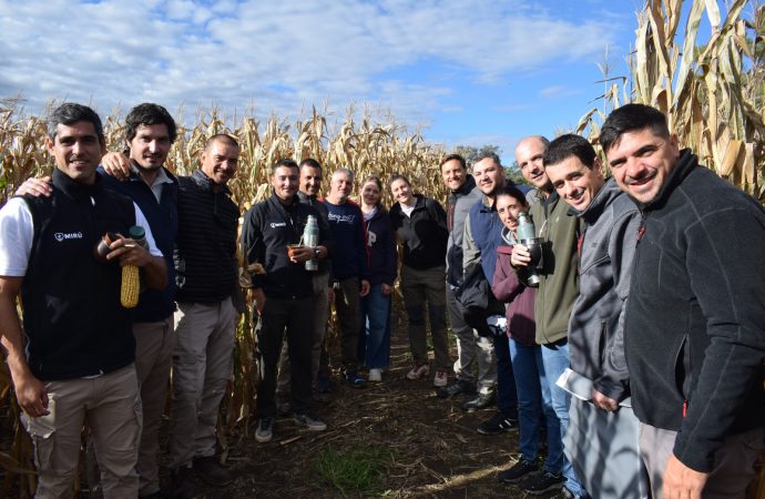 Innovación en el campo: Bayer presenta su tecnología de maíz de baja estatura en el norte de Córdoba