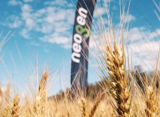 Trigo 2026: entre el optimismo productivo y el desafío de la rentabilidad