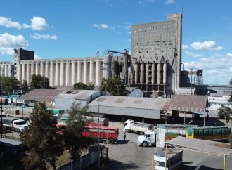 Desde la Secretaría de Agricultura informaron un crecimiento en las exportaciones de maíz