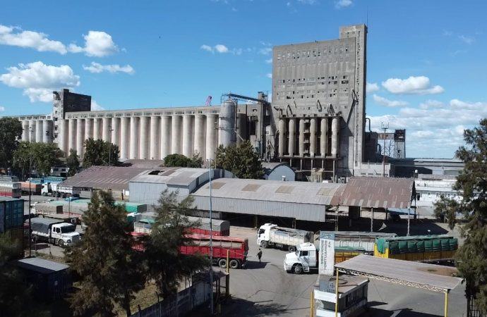 Desde la Secretaría de Agricultura informaron un crecimiento en las exportaciones de maíz