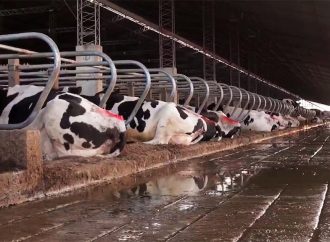 Innovación y escala en el corazón de la cuenca lechera cordobesa: el Tour Lechero 2026 prepara su recorrida