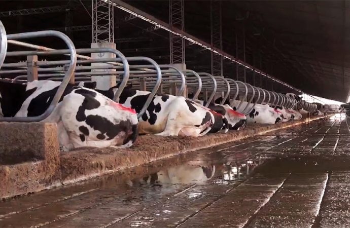 Innovación y escala en el corazón de la cuenca lechera cordobesa: el Tour Lechero 2026 prepara su recorrida