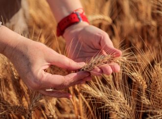 Escenario agrícola 2026: entre el alza de costos y la apuesta tecnológica para proteger los rendimientos