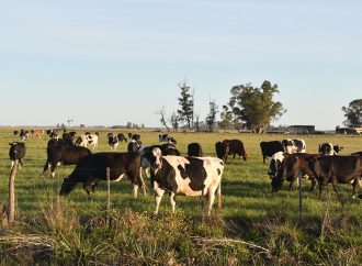 TodoLáctea 2026: La apuesta por los tambos de bajo costo y el desafío del recambio generacional