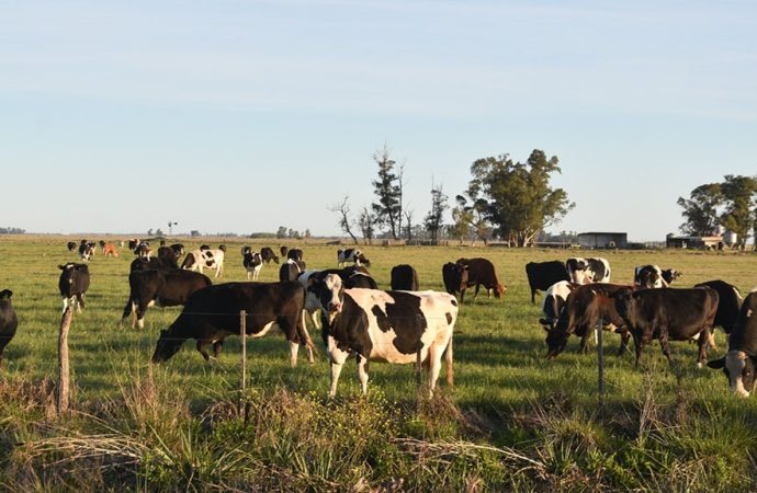 TodoLáctea 2026: La apuesta por los tambos de bajo costo y el desafío del recambio generacional