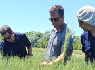 Innovación en un escenario volátil: nanotecnología argentina para transformar la nutrición de los cultivos