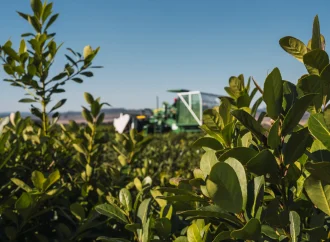 Preocupación en el campo: 9 de cada 19 economías regionales están en «rojo» por la crisis de rentabilidad