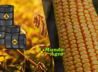 El petróleo impulsa los granos: fuerte suba en Chicago y firmeza en el mercado local