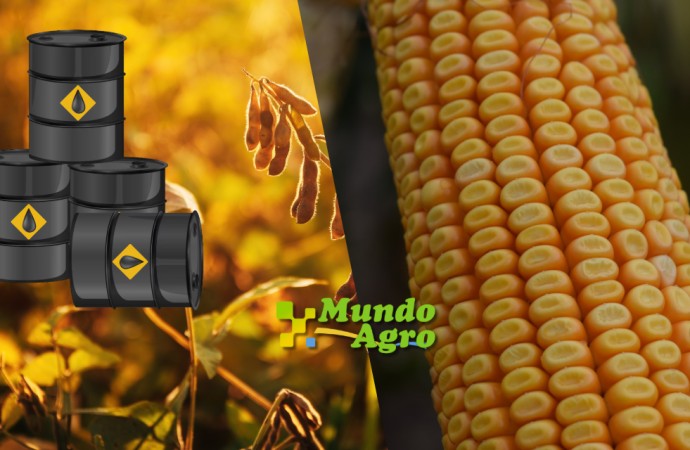 El petróleo impulsa los granos: fuerte suba en Chicago y firmeza en el mercado local