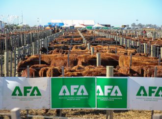 Agroactiva 2026: El gran salto de la ganadería argentina y el hito histórico de la lechería