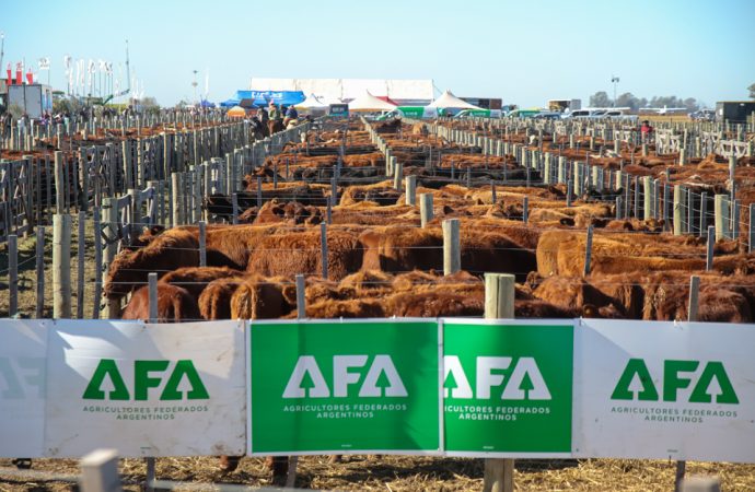Agroactiva 2026: El gran salto de la ganadería argentina y el hito histórico de la lechería