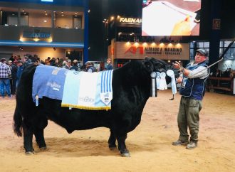 Excelencia Genética en la Pista: «La Juanita» y «Santa Rosa» se consagraron en la Expo Otoño