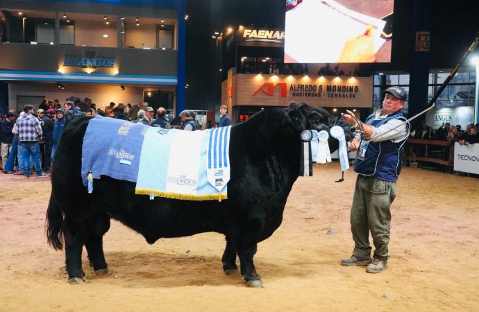 Excelencia Genética en la Pista: «La Juanita» y «Santa Rosa» se consagraron en la Expo Otoño