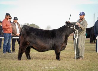 Argentina y Kazajistán sellan una alianza estratégica para potenciar la genética bovina y el comercio ganadero en raza Angus