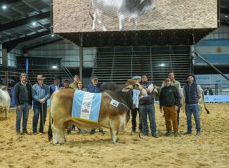 Formosa domina la 24° Exposición Nacional Brahman en el inicio de Las Nacionales 2026