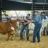 Formosa domina la 24° Exposición Nacional Brahman en el inicio de Las Nacionales 2026