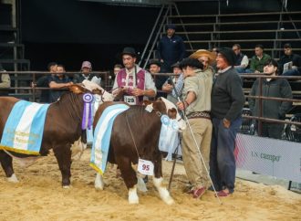 Genética de vanguardia en Corrientes: Cabañas Pilagá se alzó con el máximo trofeo en la Nacional del Ternero Braford