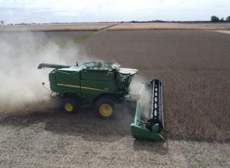 En el Departamento Río Primero la falta de lluvias en enero ajusta las expectativas de rinde en una campaña demorada