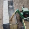 CONINAGRO pide eliminar retenciones al trigo para frenar la escalada de costos a raíz de la crisis en Medio Oriente