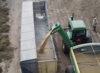CONINAGRO pide eliminar retenciones al trigo para frenar la escalada de costos a raíz de la crisis en Medio Oriente