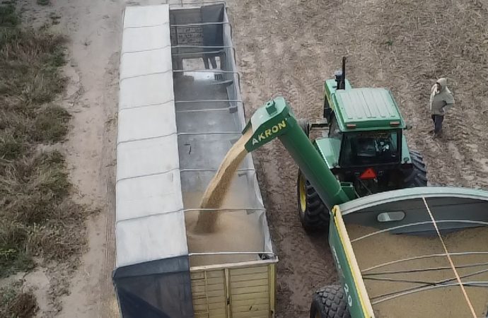 CONINAGRO pide eliminar retenciones al trigo para frenar la escalada de costos a raíz de la crisis en Medio Oriente