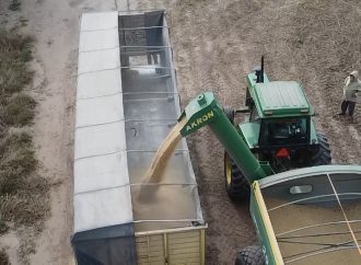 Avanza la cosecha pero se comercializa menos: el productor retiene la soja y genera tensión en el mercado
