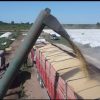 CONINAGRO pide eliminar retenciones al trigo para frenar la escalada de costos a raíz de la crisis en Medio Oriente
