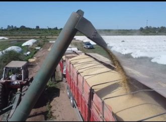 CONINAGRO pide eliminar retenciones al trigo para frenar la escalada de costos a raíz de la crisis en Medio Oriente