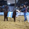 Corral de Guardia se consagra en la Nacional Braford: una ternera excepcional es coronada como la mejor en Corrientes