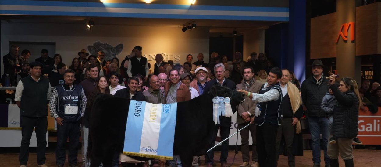 Inicio