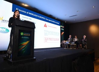 Congreso Maizar: el desafío de conquistar el mundo desde el lote con maíz y sorgo