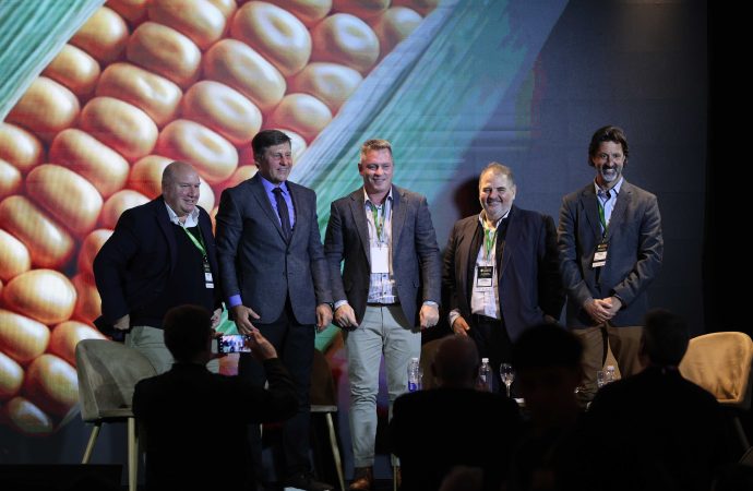 El maíz como motor: El potencial argentino para multiplicar exportaciones de carne, leche y huevos