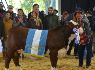 Corrientes: Epicentro de la Genética Bovina en «Las Nacionales 2026»