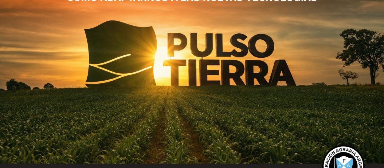 Inicio