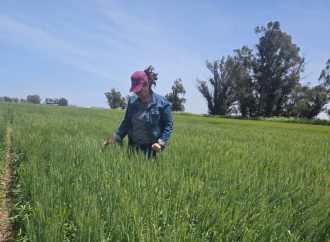Tayrix: La nueva frontera en protección biológica para trigo y soja se presenta en Mar del Plata