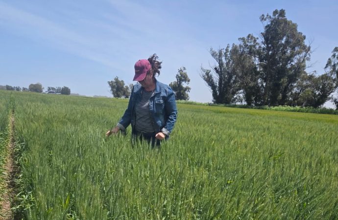 Tayrix: La nueva frontera en protección biológica para trigo y soja se presenta en Mar del Plata