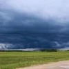 El Niño 2026/27: entre la oportunidad de rindes récord y el desafío de los excesos hídricos