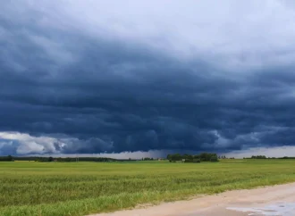 El Niño 2026/27: entre la oportunidad de rindes récord y el desafío de los excesos hídricos