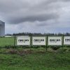 El trigo recupera protagonismo: mejores márgenes y renovación genética impulsan la campaña 2026