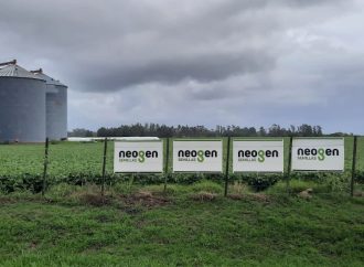 El trigo recupera protagonismo: mejores márgenes y renovación genética impulsan la campaña 2026
