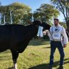 Cabaña «La Lilia» de Barberis, gran ganadora en los Concursos de Holando Argentino en TodoLáctea 2026