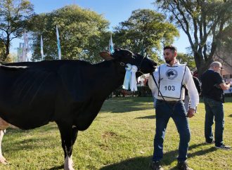 Cabaña «La Lilia» de Barberis, gran ganadora en los Concursos de Holando Argentino en TodoLáctea 2026